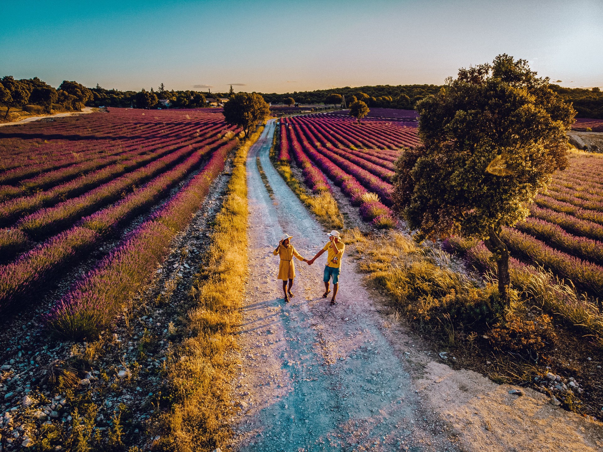 couple mid age men and woman on vacation in the Provence visiting the blooming lavender fields in France
