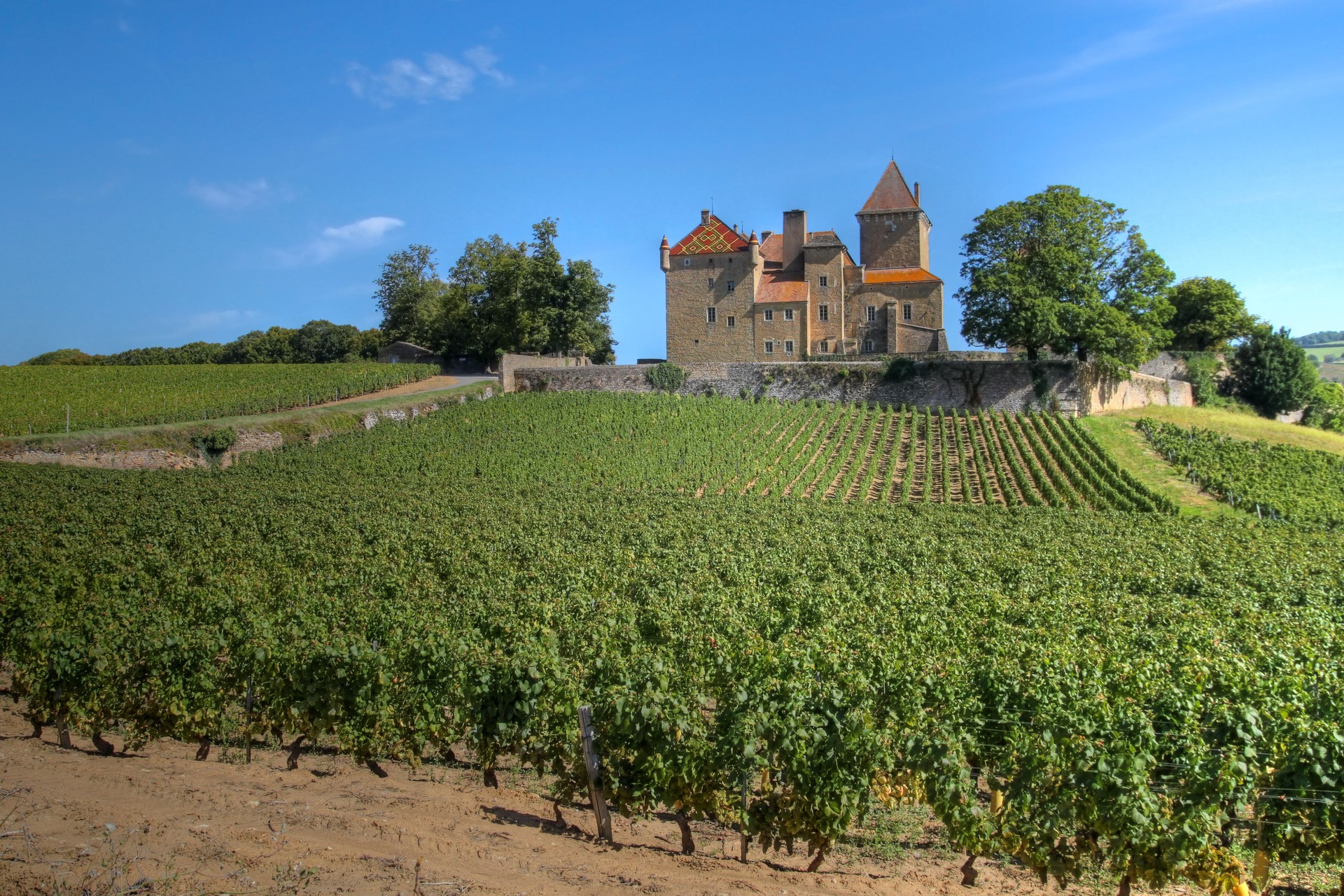 Chateau de Pierreclos, Burgundy, France